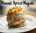 Apricot Almond Mugcake