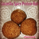 Coconilla Spice Protein Balls
