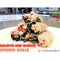 Salmon and Quinoa Spring Rolls